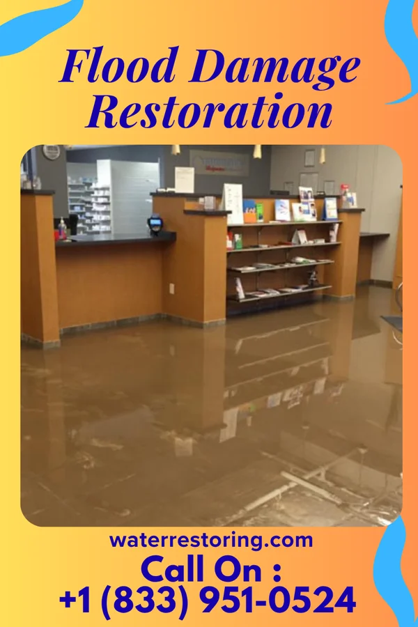 Flood Damage Restoration in Zephyrhills, FL