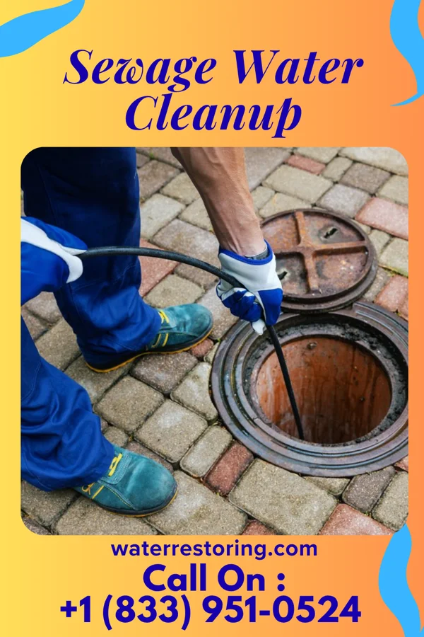Sewage Water Cleanup in Zephyrhills, FL